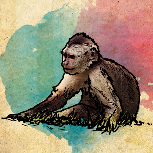 Příspěvek 100 Kč
